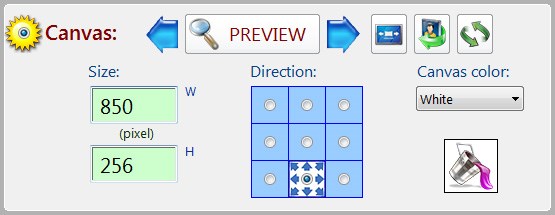 Canvas Resize Options